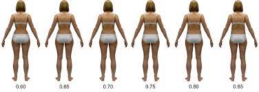 A research study confirms that women's body shapes broadly fall under five categories (1). Examples Of Stimuli Silhouettes Color Version Of Average Weight Woman Download Scientific Diagram