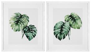 Several common house plants called ficus come from the moraceae family. Casa Padrino Images Art Print Set Tropical Plants Green White 59 X H 69 Cm Luxury Decoration
