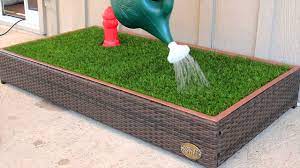 Porch Potty The 1st Automated Dog Litter Box Video Demonstration Dog Litter Box Dog Potty Area Dog Potty