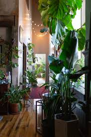 The Plant Doctor S Baltimore Home And Studio Are Absolutely Filled With Gorgeous Green Plants Easy House Plants Plants House Plants Decor