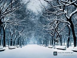 Affordable and search from millions of royalty free images, photos and vectors. 37 Winter Images Ideas Winter Images Winter Image