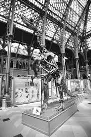 On january 1, 2006, bernissart had a total population of 11,458. Bernissart Keyword Search Science Photo Library