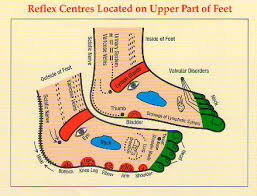 Reflexology Chart Of Foot Foot Reflexology Chart