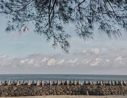 Portal berita yang menyajikan informasi terhangat baik peristiwa politik, entertainment dan lain lain Jelajahi 5 Pantai Di Blitar Yang Mudah Diakses Berikut Ini Sanflawer Com