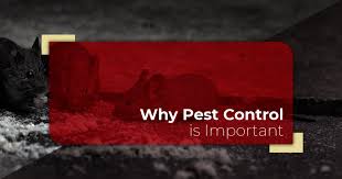 Evans pest control is an experienced and dependable commercial pest control provider, offering affordable and effective pest control service plans for business. Pest Control Springtown Why It S Important