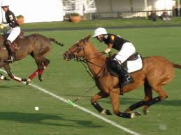We did not find results for: Gonzalo Pieres Wikipedia