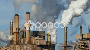Flock Of Birds Flies Through Factory Smoke Steam Stock Footage Flies Factory Flock Birds The Weather Channel Weather News Story Video
