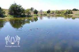 With perfect hunting land, this is a sportsman's dream state. Land For Sale Property For Sale In Alva Oklahoma Lands Of America