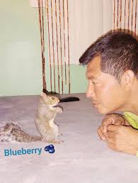 Staring contest, the winner gets nuts