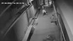 Watch: Delhi thief breaks into