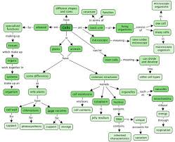 Animal cell lacking nucleus would also lack in. If An Animal Cell Lacking Nuclei Then It Would Also Lack In Plant Cell Accessscience From Mcgraw Hill Education Maybe You Would Like To Learn More About One Of These