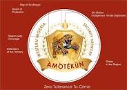Image result for picture logo of amotekun