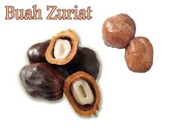Penelitian yang dilakukan di mesir mengatakan bahwa buah zuriat atau buah doum memiliki kandungan antioksidan. Cara Makan Buah Zuriat Kembar Cara Minum Untuk Promil Perbedaan