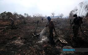 Kebakaran hutan di Kuala Langat kini ...