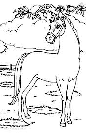 1000 x 1000 gif pixel. 1001 Kleurplaten Dieren Paarden Kleurplaat Paard Paard Tekeningen Kleurplaten Dieren Kleurplaten