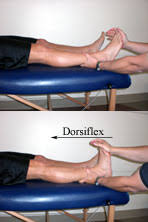 Homan S Sign For Detection Of Dvt Physical Therapy Cyberpt