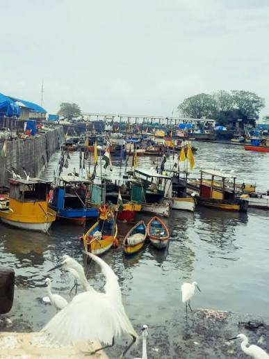Fishing boats lie anchored along the Arabian Sea coast at Uttan Beach on the outskirts of Mumbai, Sunday, June 14, 2026, as the annual fishing season draws to a close ahead of