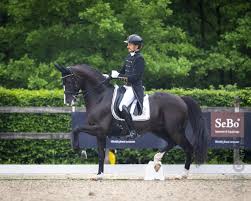 Edward gal is in his very own glimmer on earth, so, if you get your hands dirty with this thing, i'd suggest throwing on your hoodie. Edward Gal Aan Kop Op Nk Dressuur Met Total Us Van Liere Derde Man In Gps Horses Nl