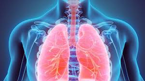 Breathing Techniques and Benefits for Athletes by Subash Mathi