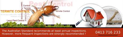 These substances are known to be harmful to certain borax and boric acid are two different formulations of the same compound. M R Termite Solutions Medium