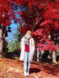 Maybe you would like to learn more about one of these? Itinerari Dan Kos 9h 8m Ke Korea Di Musim Luruh Kakitravel Net