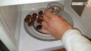 Questo serve a fermare la cottura e a. Castagne Cottura Al Microonde In 3 Minuti Cuocere Velocemente Le Castagne In Modo Inconsueto Youtube
