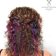 Curly Brown Hair With Blue And Purple Highlights Curly Hair Styles Naturally Curly Hair Styles Medium Hair Styles