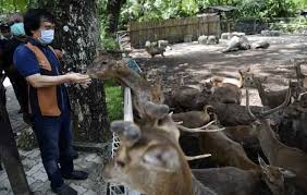 Sebut gambar, eja dan baca haiwan di zoo 2. Zoo Seluruh Negara Perlu Rm8 Juta Tampung Kos Operasi Sehingga Dis Utusan Borneo Online