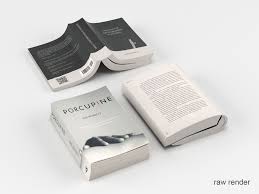 Open Book Set 3d Model Book Set Open Book 3d Model