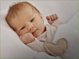 Sarah Lintner's Instagram, Twitter & Facebook