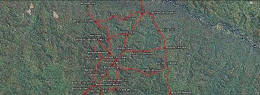 Image result for Landolphia bruneelii