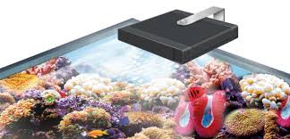 Slide and pray is becoming a tired story about reefers trying to find the right par values and reef tank lighting schedule. The Best Led Lighting For Reef Tanks Coral Growth 2021