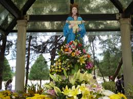 Kết quả hình ảnh cho sao bieenr