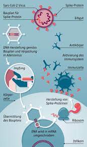 Check spelling or type a new query. Wie Funktionieren Vektorimpfstoffe Covid 19 Impfung Erklart