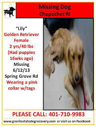 Laura happy holidays our beautiful golden retriever pure bred have 7 golden retriever puppies 4 girls and 3 boys, they need a new home date of birth 11.23.2018 w. Missing In Ct Ri Ny Granite State Dog Recovery Facebook Losing A Dog Golden Retriever Female Pink Collar