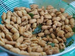 Kuih cara manis, kuih kegemaran che nom sejak dulu lagi. Nanyfadhly Kuih Siput Resepi Emak