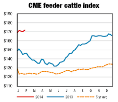 feeder cattle futures quotes cme group