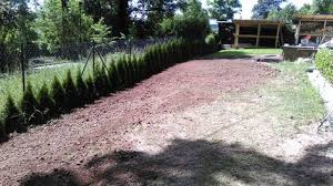 Entsorgung Des Erdaushubs Und Anlegen Des Neuen Rasen An Der Pool Aussenanlage Pool Terrasse Aussenanlagen Garten