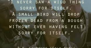 Bird Bird Bird Is The Word Movie Gi Jane Movie Quote Line From D H Lawrence Poem Bird Self Pity Cold Winter Toughen Up Seal Movie Quotes Inspirational Self Pity Gi Jane