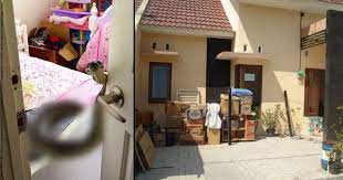 Maybe you would like to learn more about one of these? Tabur Garam Itu Cuma Mitos 6 Cara Ini Baru Mempan Cegah Ular Masuk Rumah Dan Halaman