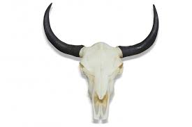 Top marken günstige preise große auswahl. Geweih Schadel Dunord Longhorn Skull 69cm Natur Design Wanddeko Wacken Style Neu Longhorn Schadel Geweih Wanddeko
