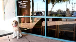 Cavity Prevention In Yuma Az Pediatric Dentistry Of Yuma