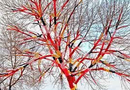 Carol Hummel S Tree Cozy Yarn Bombing Crochet Tree Tree Art