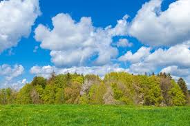 Olive, forest, grass, apple, lime, fern, jungle, kelly, mint, tea, emerald, jade to name. Landscape Photography In Spring Many Shades Of Green Www Stormypictures De