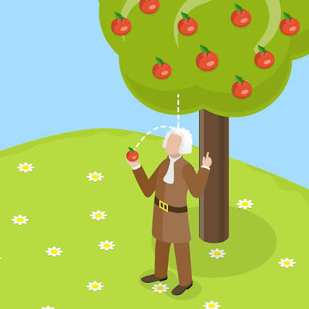 Understanding How Gravity Works Despite Differing Weight