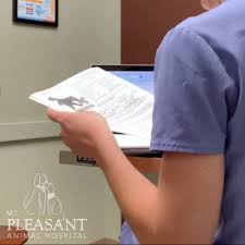My family and i especially love dr. New Pet Now What Top 10 Things To Know About Your First Vet Visit Mount Pleasant Animal Hospital New Pet Now What Top 10 Things To Know About Your First Vet Visit