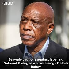 Tokyo Sexwale has weighed in