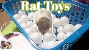 Dollar Store Rat Toys Cage Accessories Youtube In 2021 Rat Toys Diy Rat Toys Rat Cage Diy