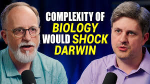 Answering Evolutionary 'Proofs' · Creation.com