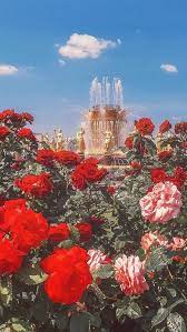 Red Flowers Wallpaper Aesthetic Iphone Wallpaper Red Flower Wallpaper Flower Wallpaper